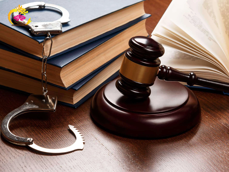 ph&acirc;n biệt h&agrave;nh vi h&agrave;nh ch&iacute;nh v&agrave; quyết định h&agrave;nh ch&iacute;nh